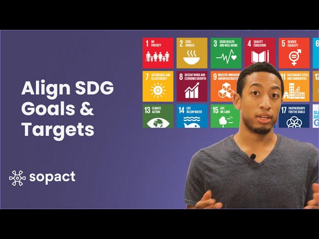 tier classification for global sdg indicators