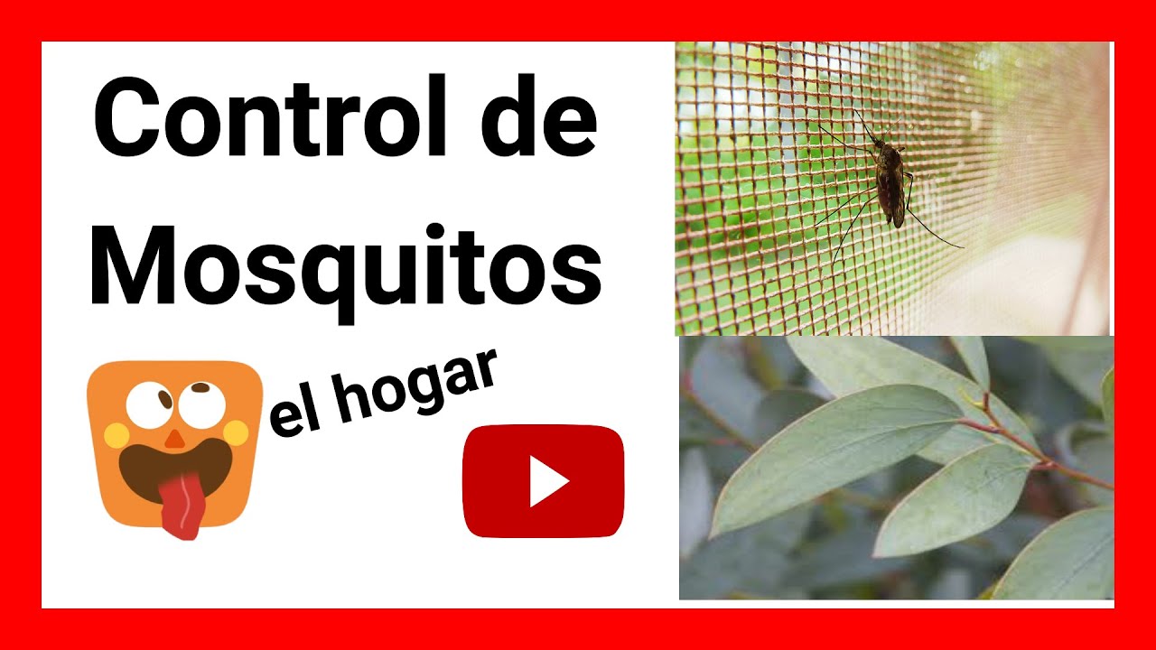 control de mosquitos en el hogar